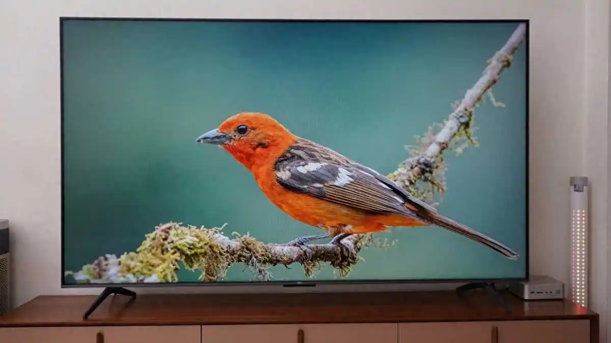 شکل1- تلویزیون TCL مدل T7L